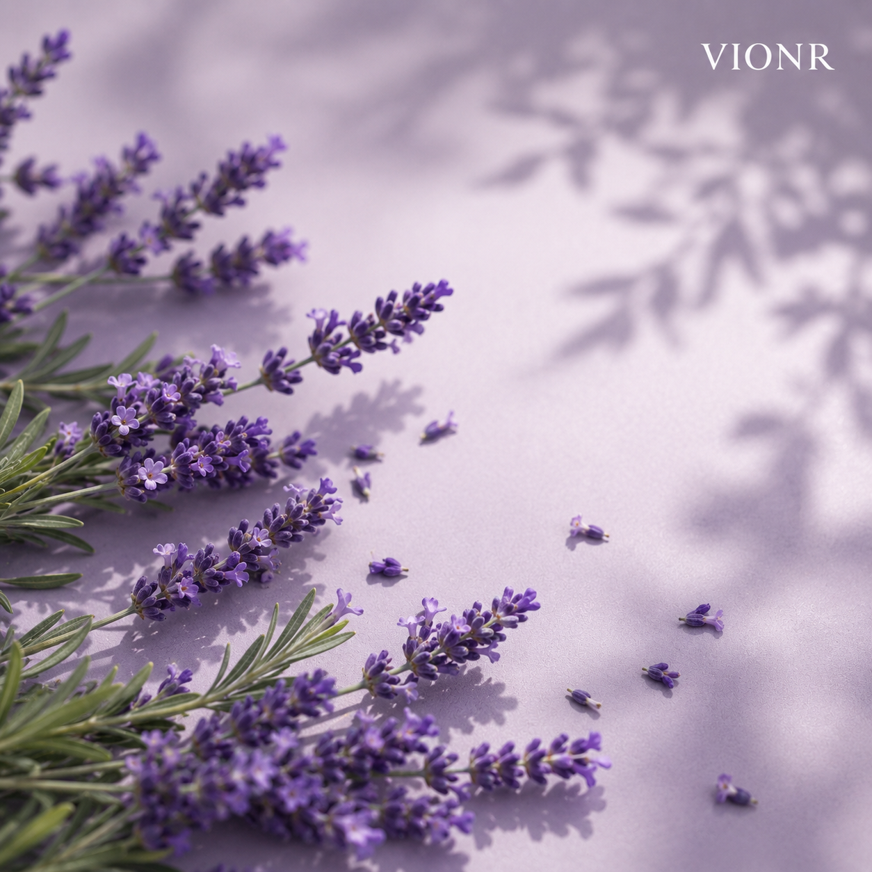 Lavender