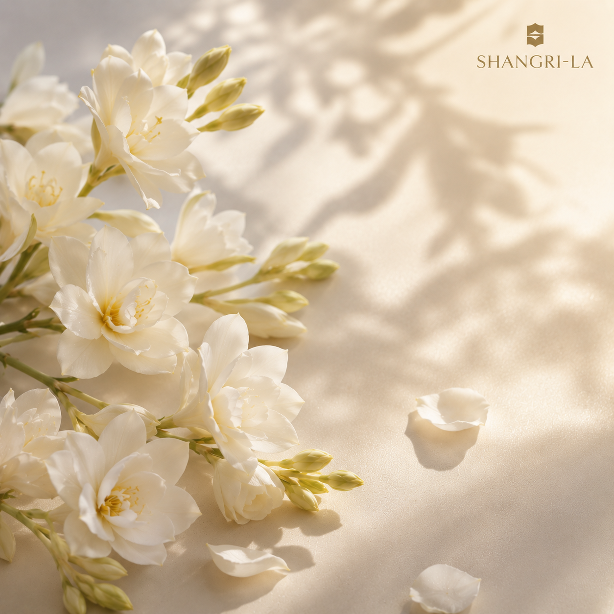 Shangri-La